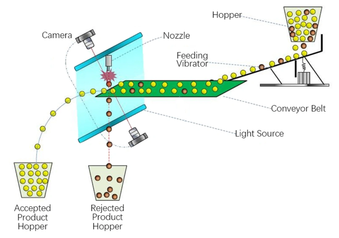 Diagrama esquemático do princípio de funcionamento da classificadora de cores de correia de baixa velocidade APEX LM para materiais frágeis de alto valor. As matérias-primas são alimentadas pela tremonha e distribuídas uniformemente na correia transportadora estável de baixa velocidade pelo vibrador de alimentação. Uma fonte de luz e uma câmera CCD de alta precisão capturam as características da superfície dos materiais em tempo real. As partículas defeituosas são direcionadas para o recipiente de rejeitos por meio de bicos de precisão, enquanto os materiais qualificados e intactos caem no recipiente de produtos acabados. O design de transporte de baixa velocidade evita eficazmente colisões, atrito e danos por extrusão em grãos frágeis, grãos de café e alimentos congelados durante a classificação.