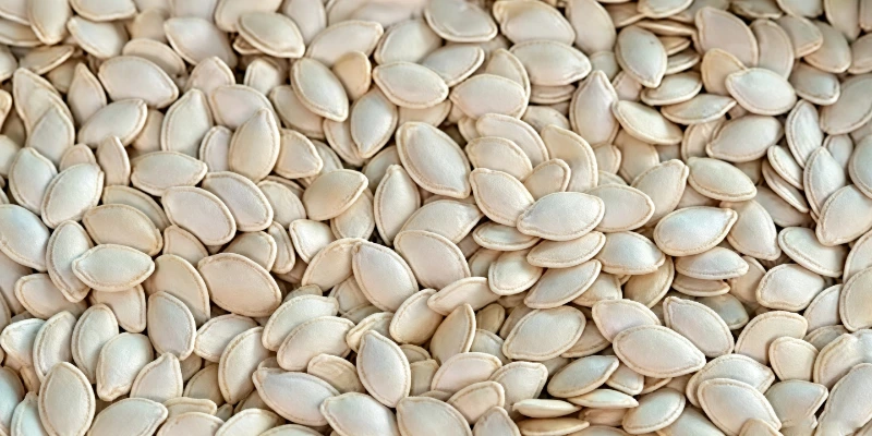 Clean qualified pumpkin seeds sorted by APEX Model A+AI intelligent vertical color sorter, uniform appearance and flawless seed shell after AI subtle defect screening for high-quality seed finished products