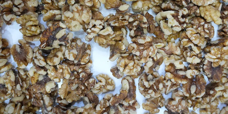 Premium intact walnut kernels screened by APEX Model N dedicated nut color sorter, uniform natural color and sound internal flesh quality after dual CCD & infrared penetration comprehensive detection for commercial walnut finished products