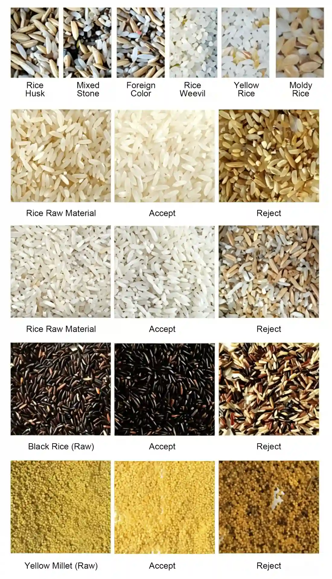 Bulk sorting effect test chart of APEX R MAX industrial high-throughput rice color sorter, displays identifiable impurities (rice husk, mixed stone, foreign grain, rice weevil, yellow rice, moldy rice), actual sorting contrast of regular long-grain rice, black rice and yellow millet, showing raw input material, purified accepted finished product and fully separated rejected defective grains under large-flow industrial working conditions