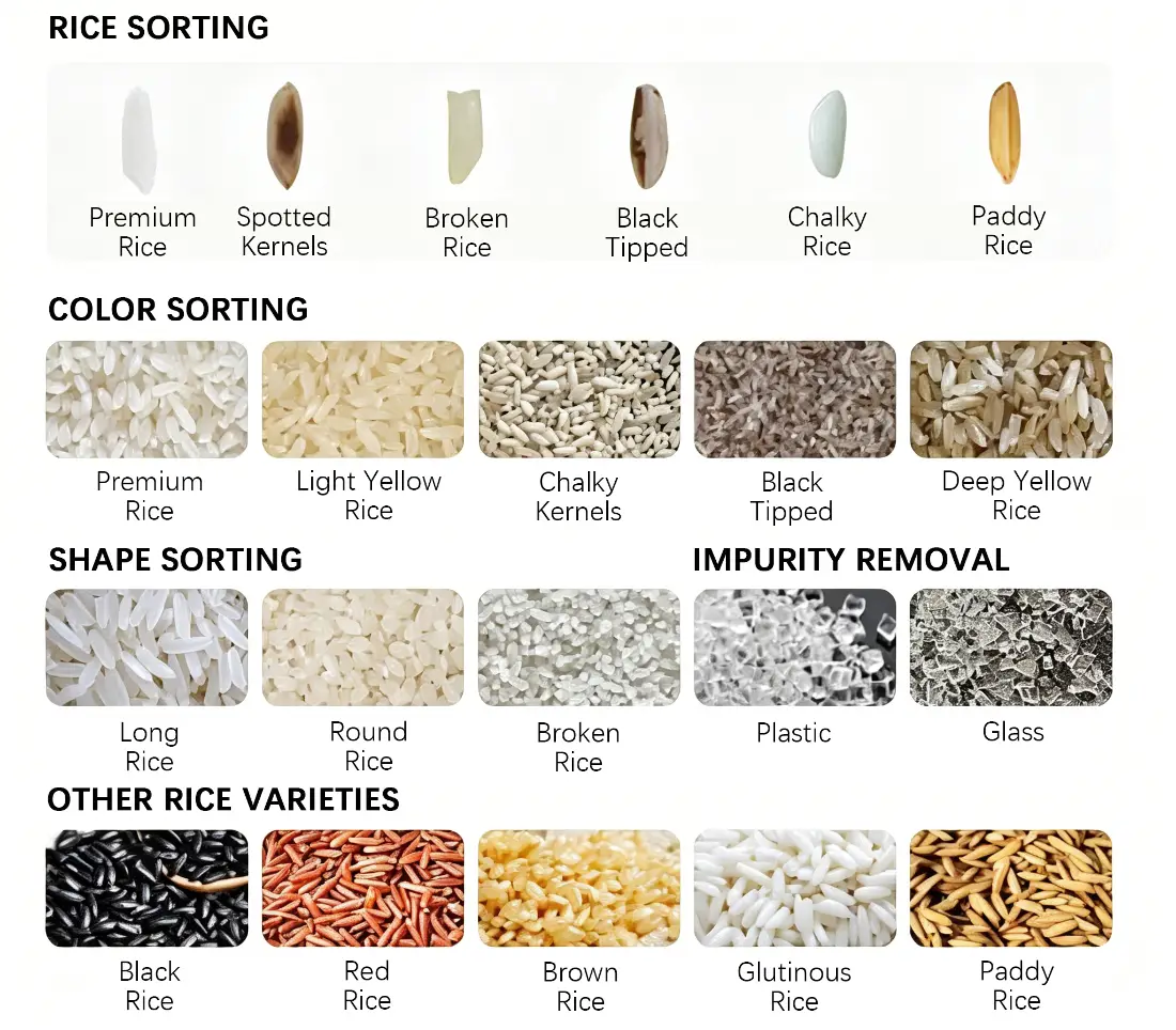 Full identification spectrum diagram for APEX R Pro Max flagship rice color sorter, covering single grain defect targets, color sorting categories, shape screening functions, foreign impurity elimination (plastic, glass), and adaptability for black rice, red rice, brown rice, glutinous rice, paddy rice and other special rice varieties, supporting comprehensive high-precision sorting for export-grade high-quality rice production