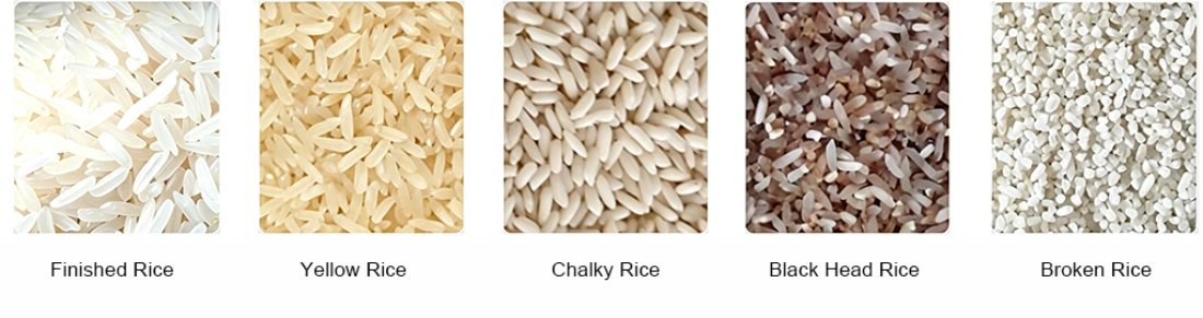 Reference sample comparison chart for R Pro high-definition CCD rice color sorter, showing standard finished rice plus four typical rejectable rice defects: yellow rice, chalky rice, black head rice and broken rice