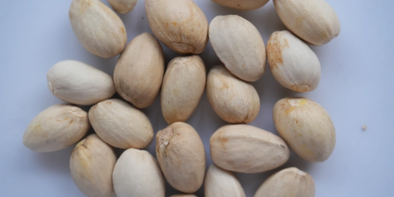 Pistaches naturelles à coque fermée de haute qualité, purifiées par détection par apprentissage profond grâce au modèle N AI, exemptes d'oxydation interne, de minuscules taches de vers et de défauts de moisissure cachés, conformes aux exigences élevées en matière de matières premières commerciales.